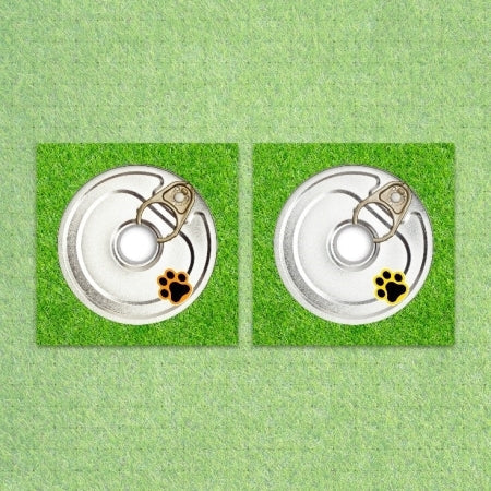 POW - BEING TENDER 3RD MINI ALBUM [COMPACT VER.]