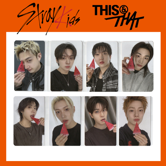 STRAY KIDS - THIS & THAT [FANS SHOP]