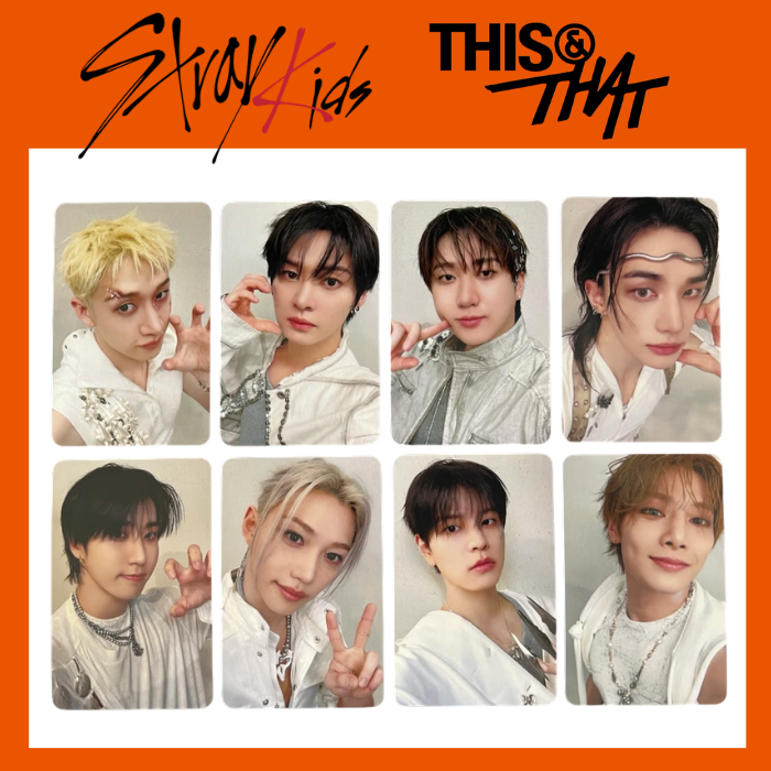 STRAY KIDS - THIS & THAT [BDM]