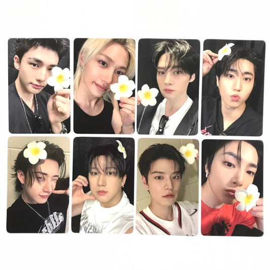 STRAY KIDS - KARMA [EVERLINE]