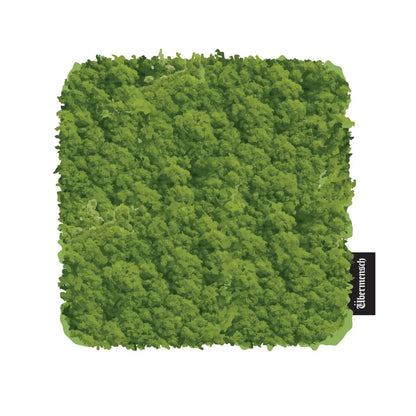 (PRE-ORDER) G-DRAGON - ÜBERMENSCH2025 WORLD TOUR ENCORE MD COASTER