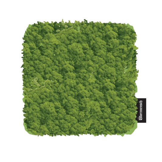 (PRE-ORDER) G-DRAGON - ÜBERMENSCH2025 WORLD TOUR ENCORE MD COASTER