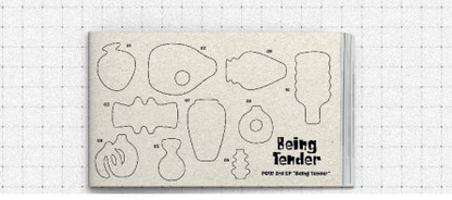 POW - BEING TENDER 3RD MINI ALBUM [PHOTOBOOK VER.]